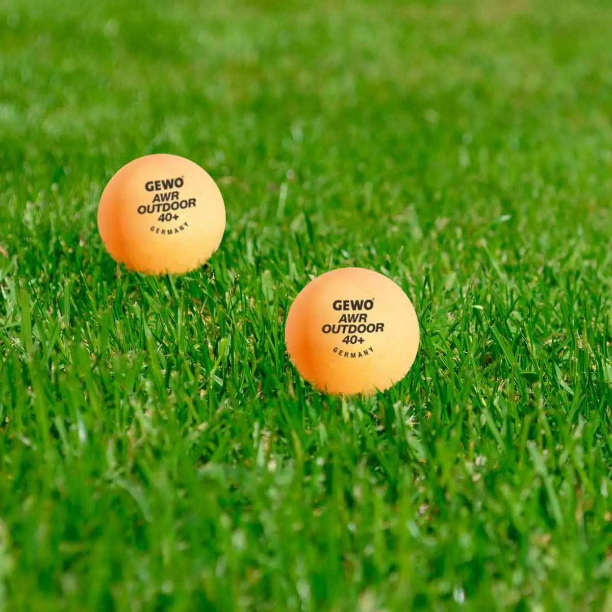 Gewo Balls AWR Outdoor 40+(6) orange - Image 3