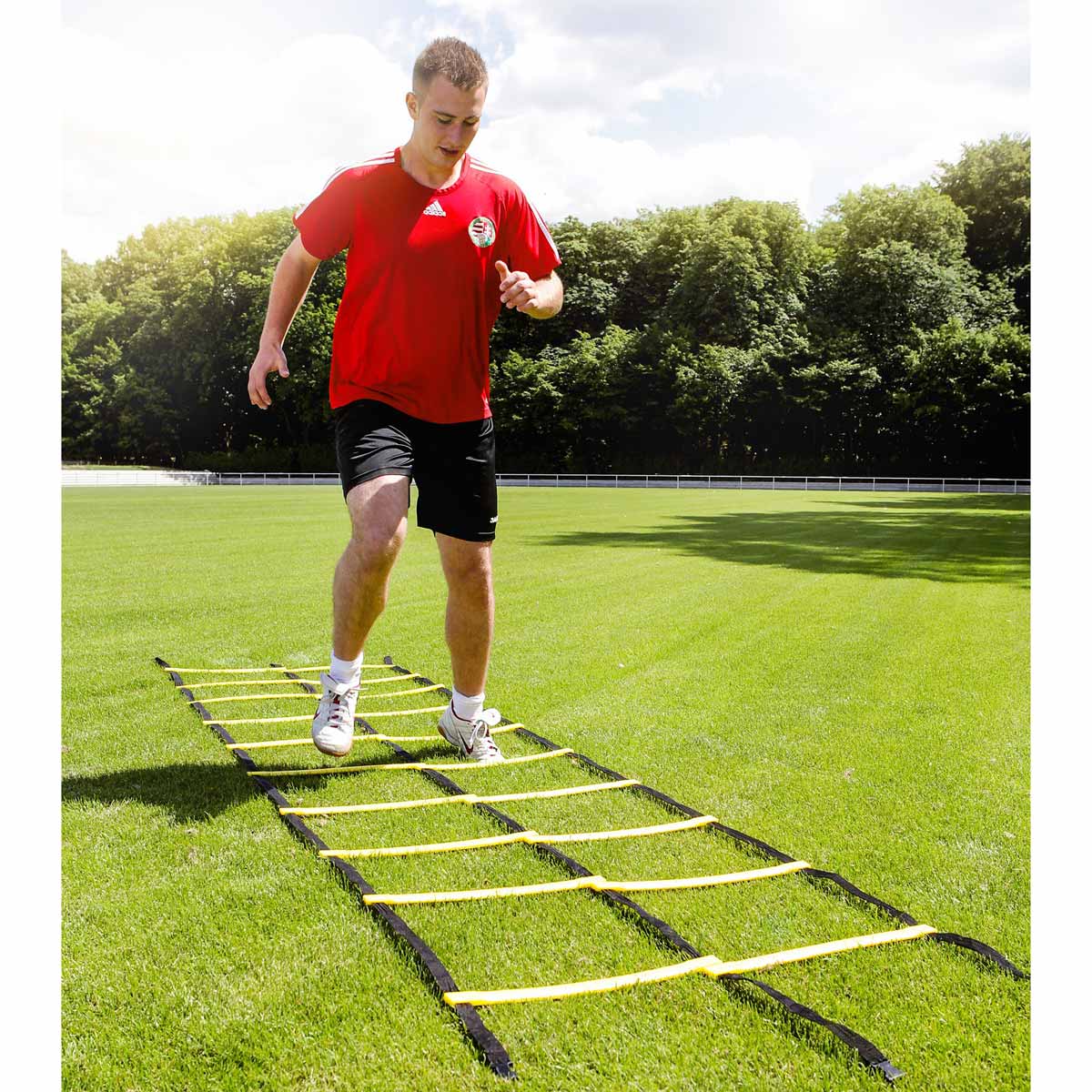 Gewo Coordination ladder "Agillity"Double-ladder 8m black/yellow - Image 3